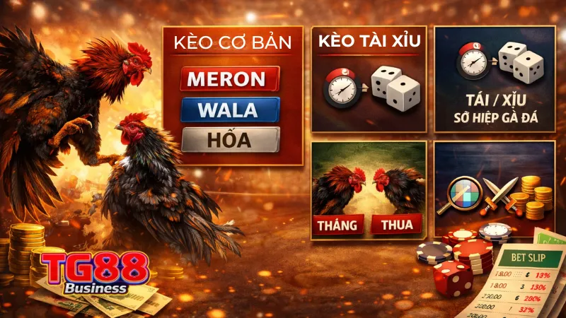 Cược Chọi Kê TG88