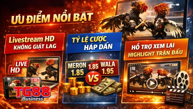 đá gà trực tuyến TG88